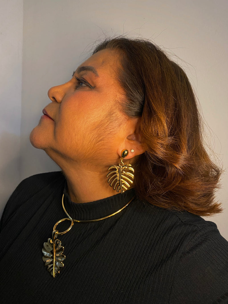 Coleção Costela de Adão